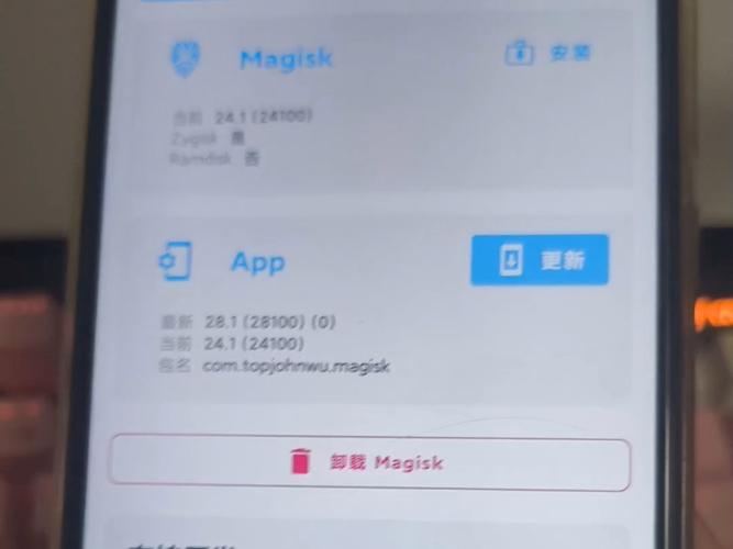 magisk模块没有生效