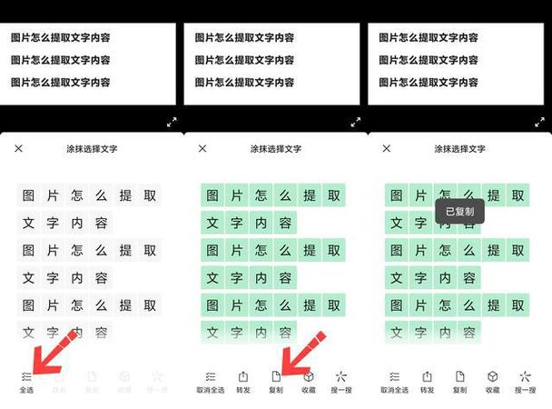 怎么用手机提取图片上的文字截图3