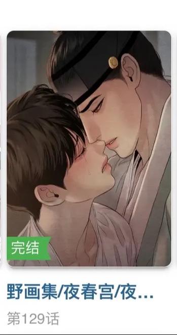 野画集什么意思
