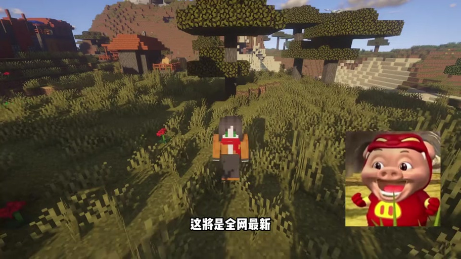 我的世界仓鼠截图3