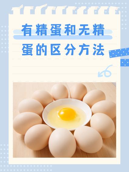 有精蛋和无精蛋的区分方法