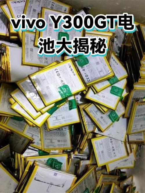 vivo官方换电池多少钱