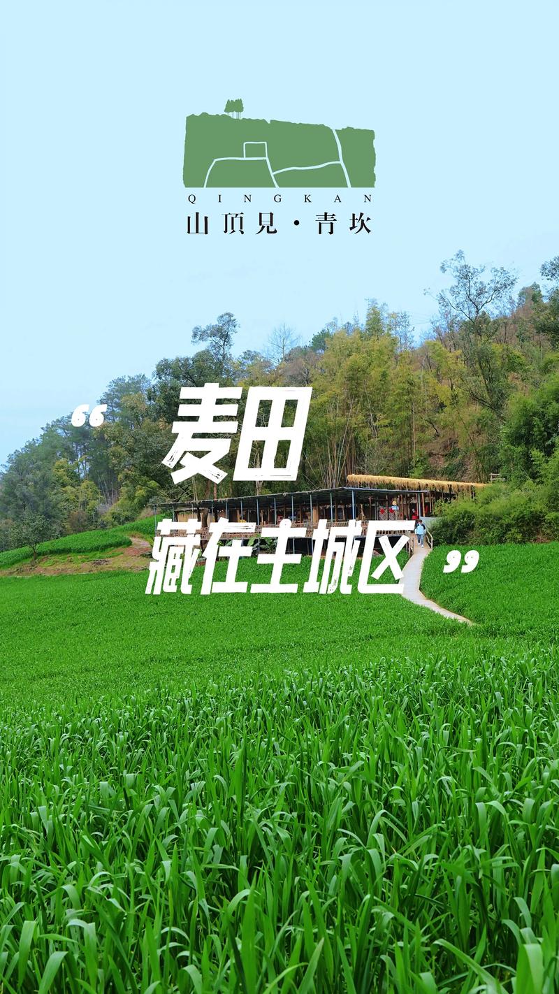 麦地人才网