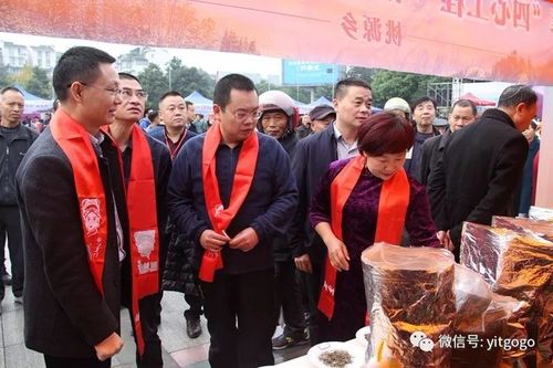 洪雅新闻直播