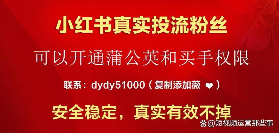 小红书突然涨了好多粉丝
