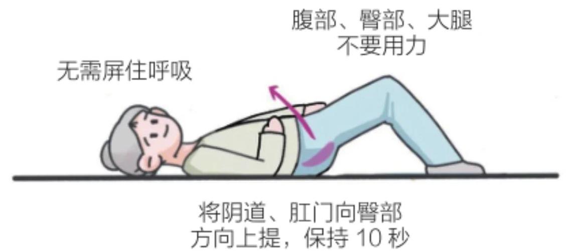 凯格尔盆底肌训练效果好吗截图2