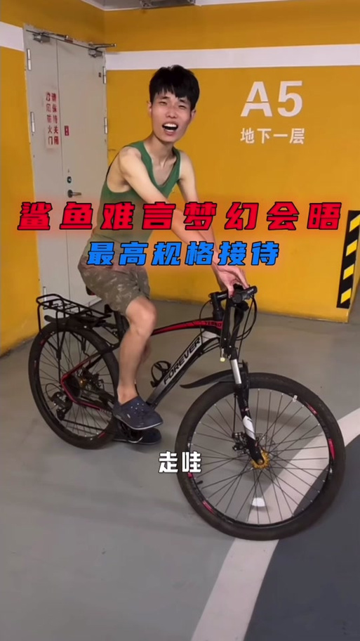 难言去鲨鱼家拜年