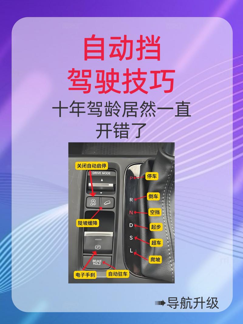 自动挡零基础学车教程