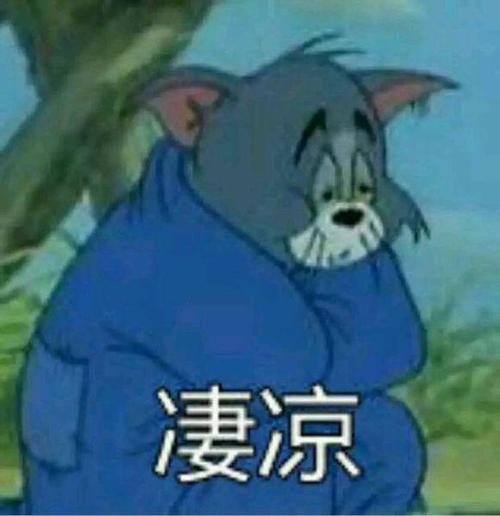 可怜的汤姆猫被白猫