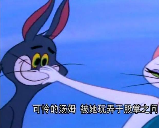 可怜的汤姆猫被白猫截图3