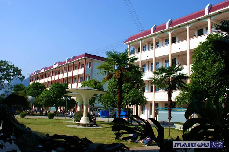 河池学院详细地址