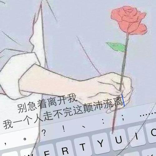 qq精选图片截图3