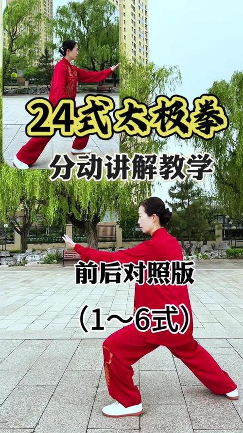 太极拳初学入门视频