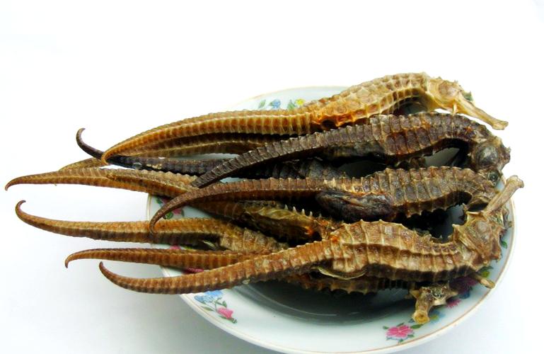干海马的功效