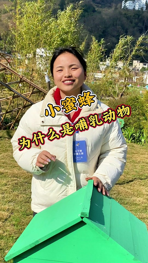 一个人带着一只蜜蜂去旅行