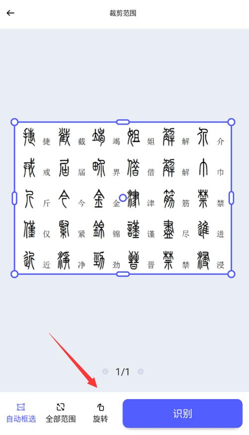 查不认识的篆书的软件截图2