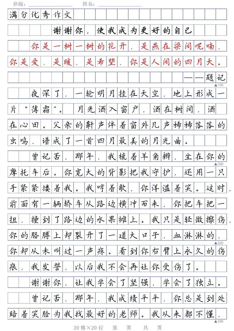 满分作文和获奖作文哪个好