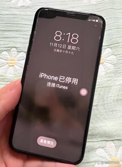 苹果手机密码忘了停用截图2