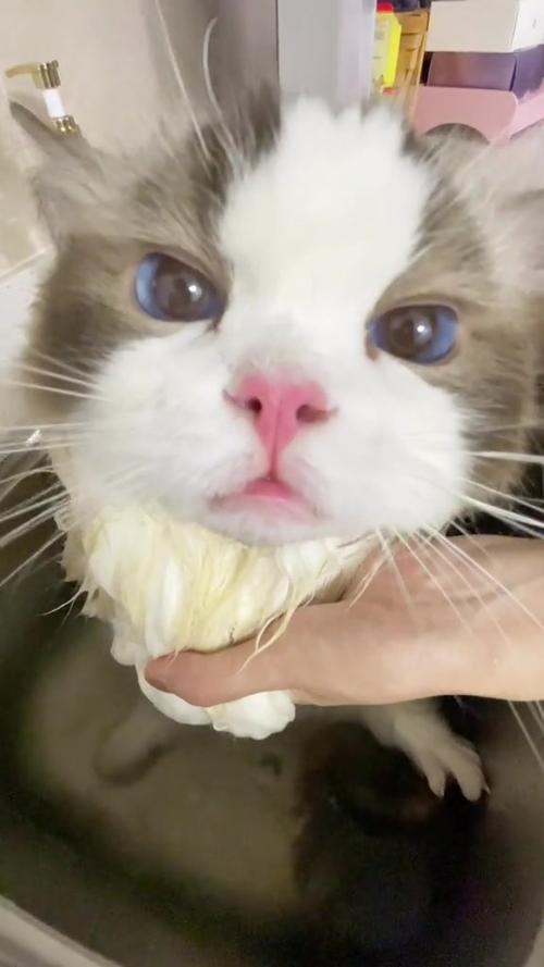 三个月的宝宝可以擦香香吗