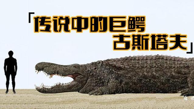 《恐鳄大战超级食人鳄》
