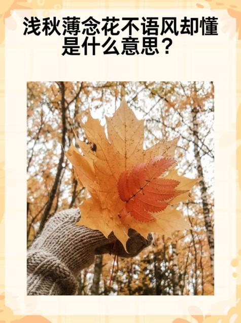 花不语风却懂是哪首诗