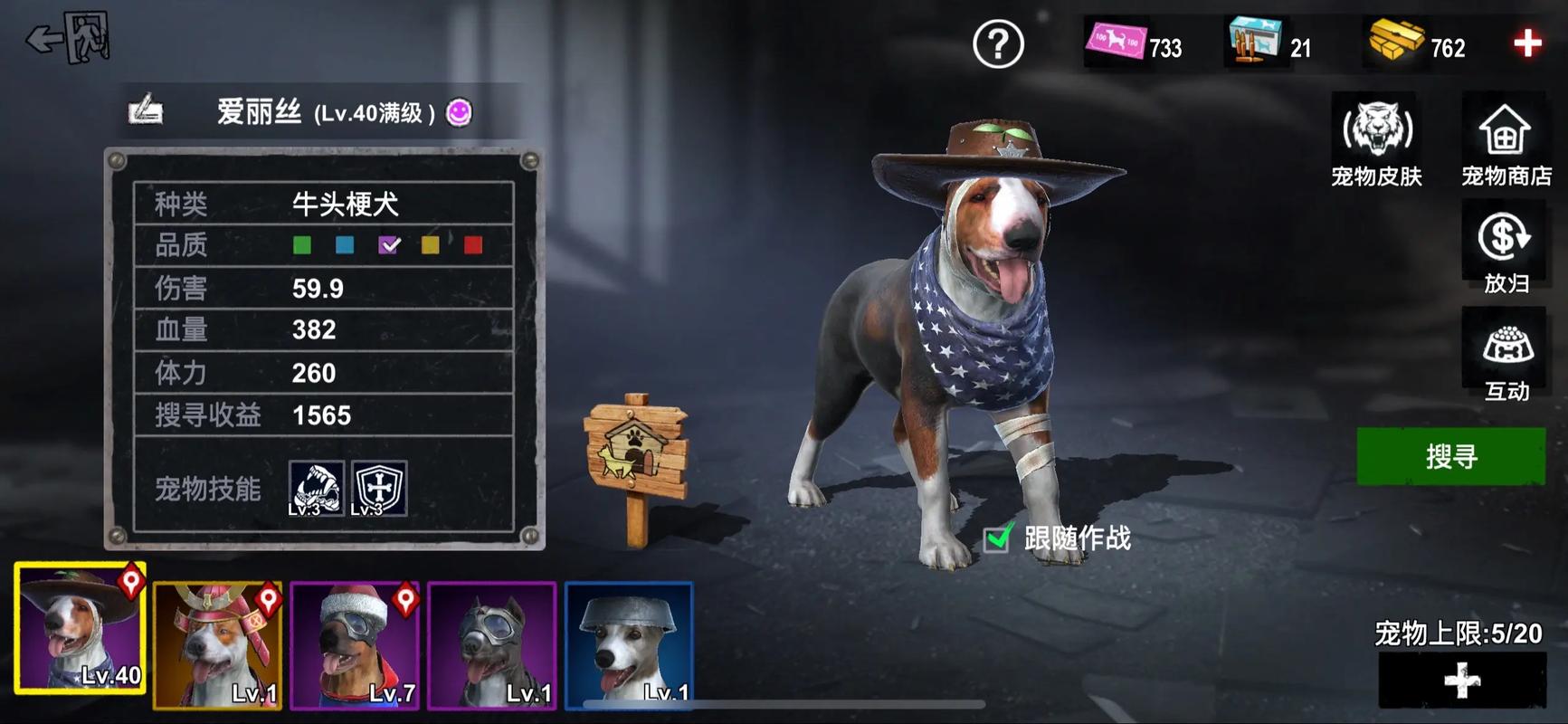 僵尸前线最强橙狗