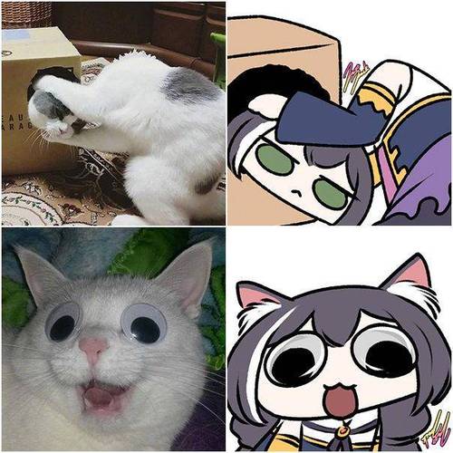 我的世界丝袜猫娘图片