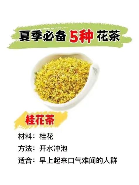 夏花茶全文