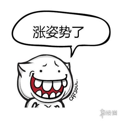涨姿势了表情包