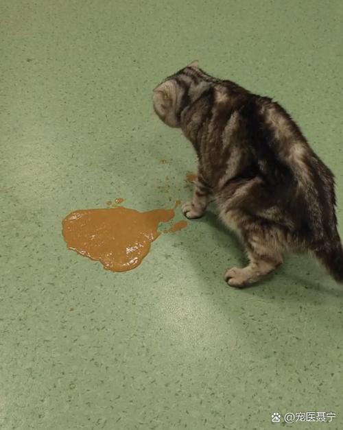 猫星状病毒是自带的吗