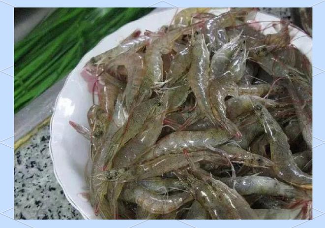 河虾 海虾截图3