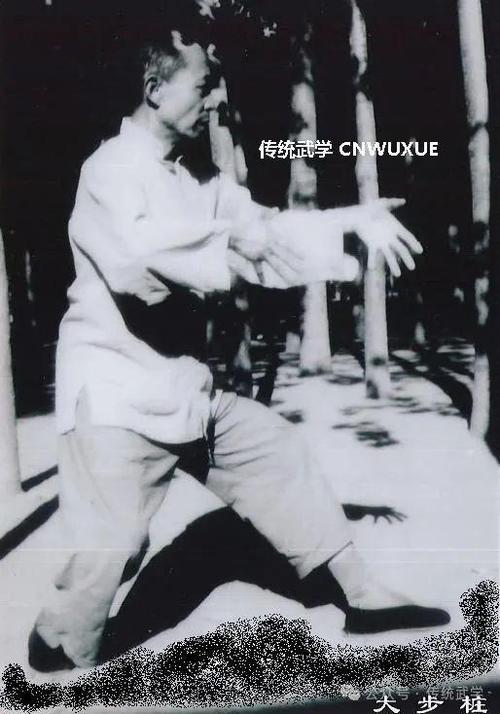 黑白子武功什么水平