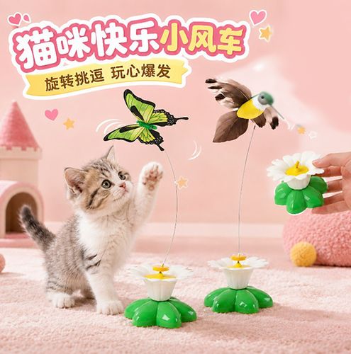 自动逗猫神器