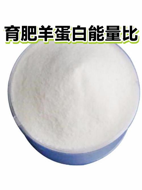 蛋白能量比的计算