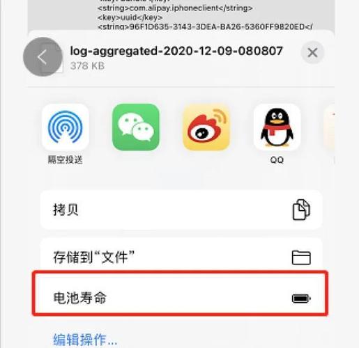 苹果不是原装电池怎么看电池寿命