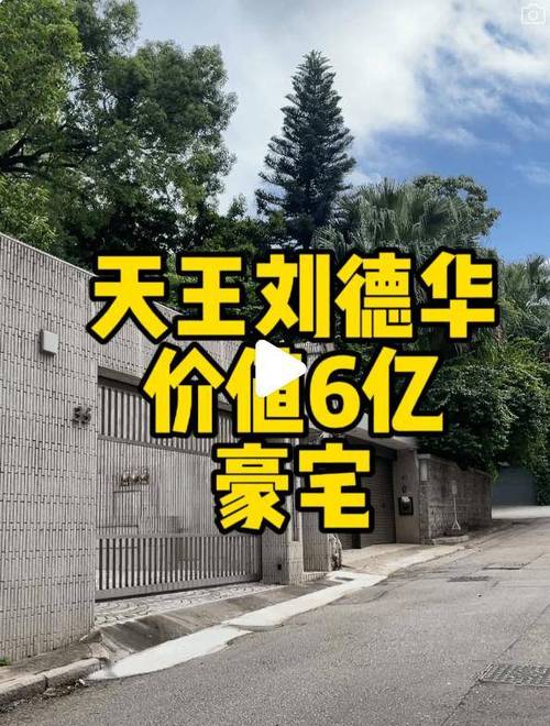 刘德华全部家产多少亿