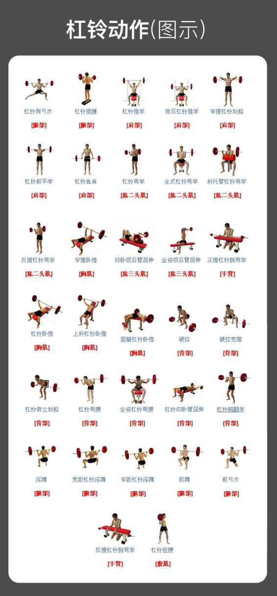 初学者哑铃锻炼方法