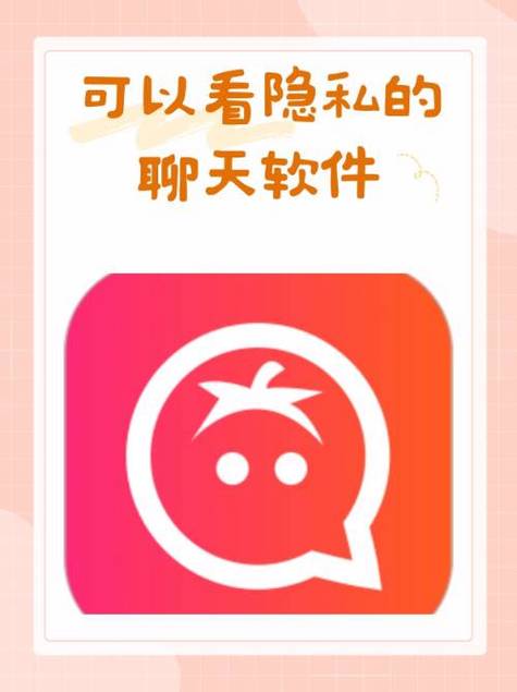 飞机加密聊天,安卓版下载