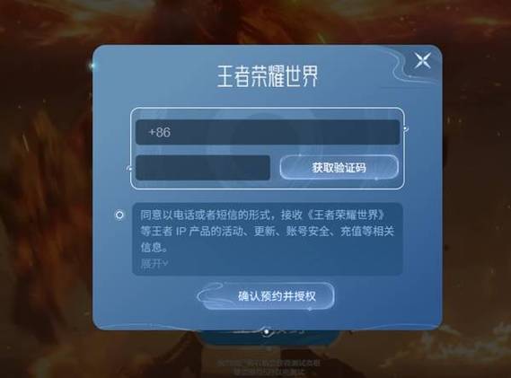 王者荣耀验证码怎么输