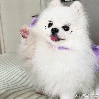 件来好看吗