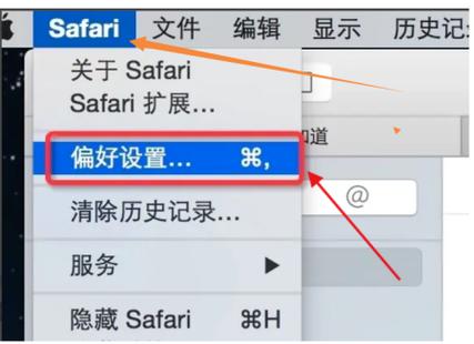 怎么打开safari网络