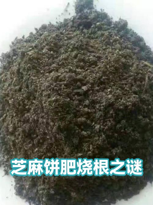 芝麻饼热量高吗