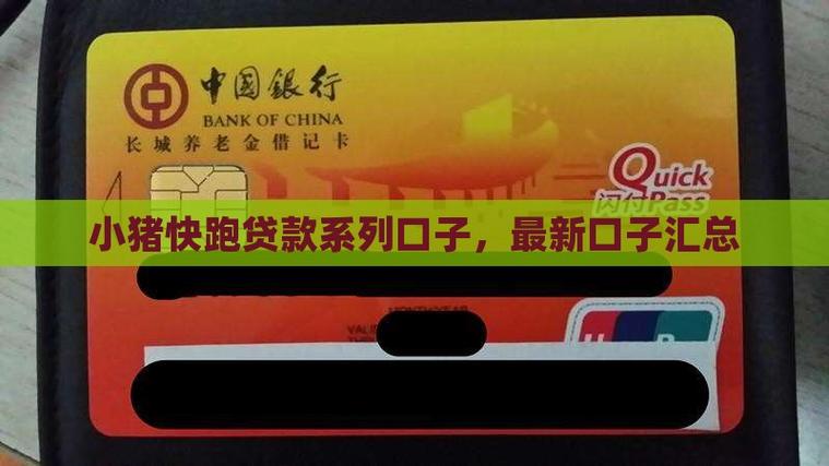 小猪系列贷款口子大全