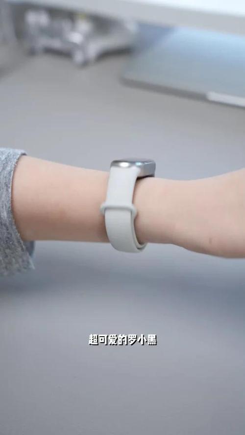 小米手环第三方app