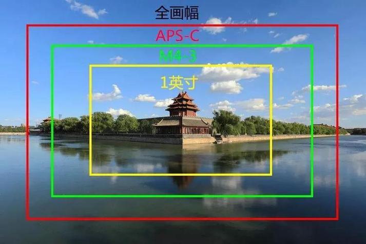 标准全视角