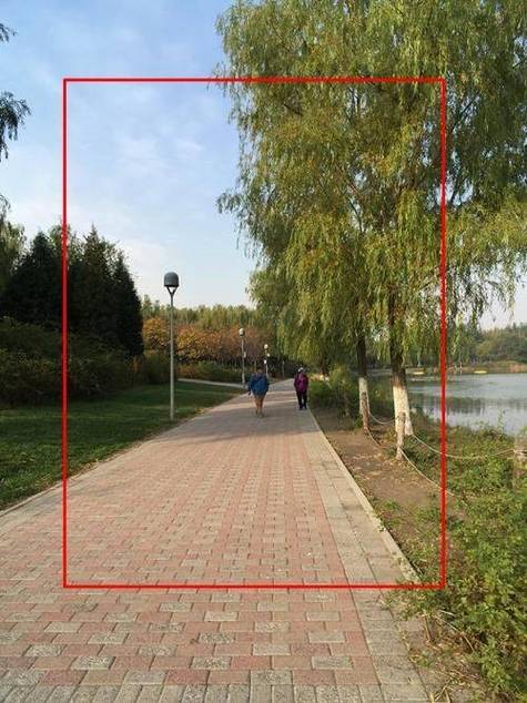标准全视角截图3