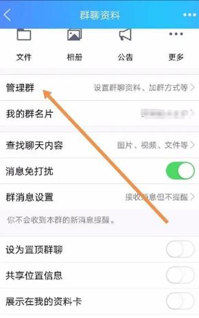 新版qq群头衔怎么不显示