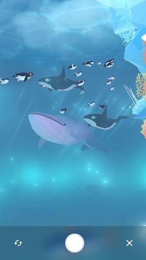 金多多水族馆怎么玩