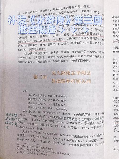水浒传第三回主要内容概括