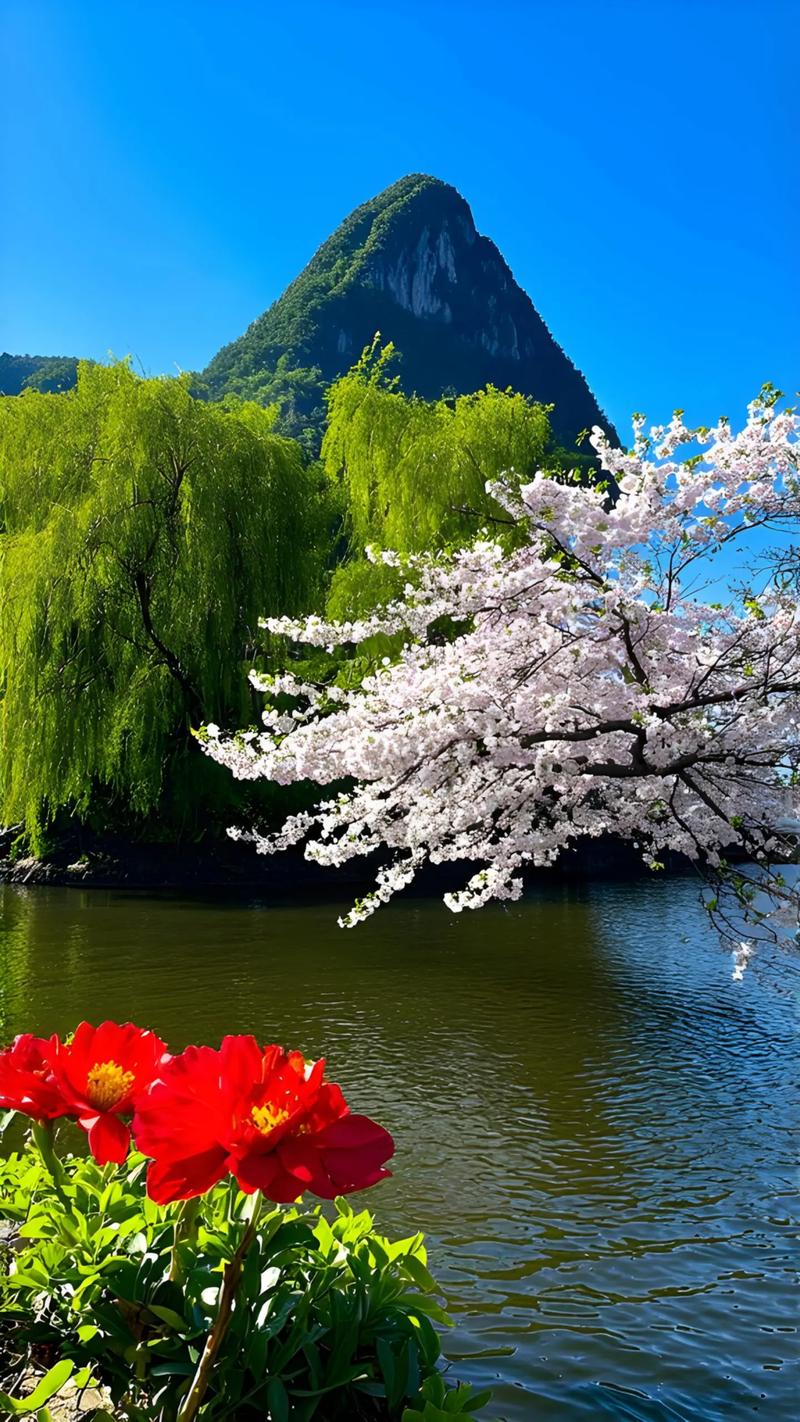 春天图片风景大自然